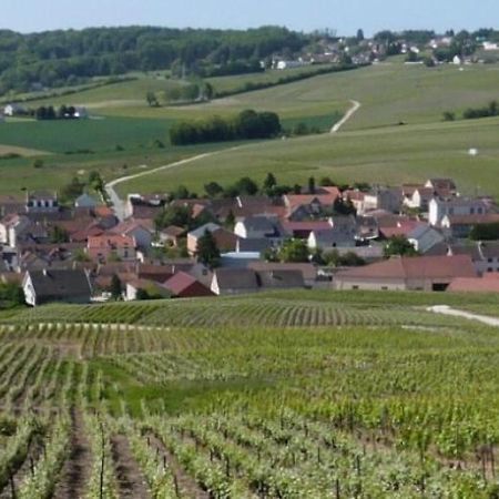 La Longere De Vin'Ay Apartment Vinay  Luaran gambar